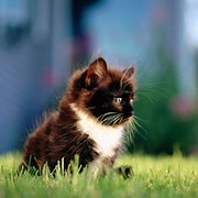 алекс алексеев - 7 лет на Мой Мир@Mail.ru