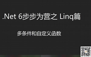 05-Linq之多条件和自定义函数