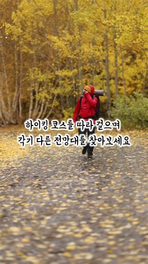 #숏으로여행 #그랜드캐년 #관광지소개 #관광지 #세계여행 #여행