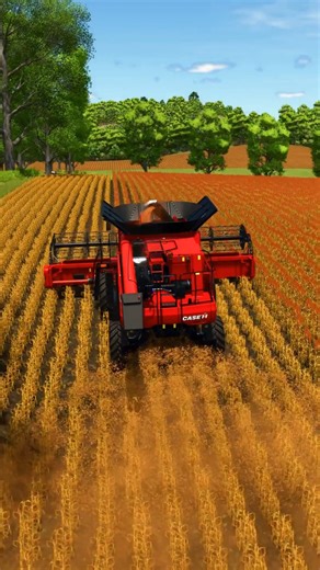 4.5K views · 63 reactions | Harvesting sorghum with CASE IH Axial Flow 7150 | New American | Farming Simulator 25 . . . . . #64b17zu #farmingsimulator #fs25mods #ls25mods #fs25 #farmsim #farming #maruntzelu #farminglife #fypviral #ls25 #fs #fyp #games #gaming #onlinegaming #ls22mods #ls22 #ls #farmingsimulator25 | 64b17zu Farming Simulator | Facebook