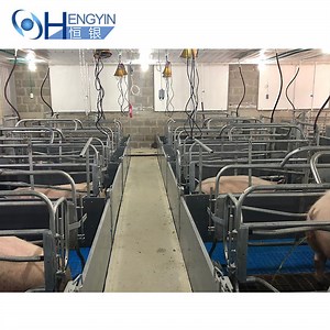 [Hot Item] Low Price Pig Pen