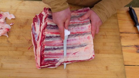 Texas-Style Monster Beef Ribs Grilled Over Fire