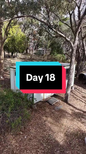 Day 18: Turning Neglected Cabin into a Tool Workshop