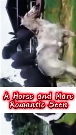 Wild Animal Love Story | Emotional Jungle Romance #lovestory #funnyanimal