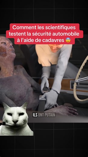 Comment les scientifiques testent la sécurité automobile à l'aide de cadavres 😨 #education #explication #science #santé