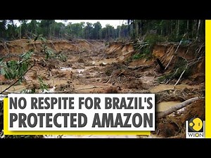 Illegal miners dig for gold in Brazil | Amazon tropical Rainforests | South America