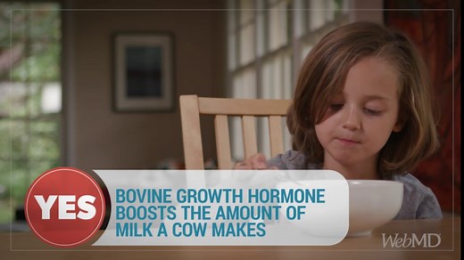 The Truth About Dairy