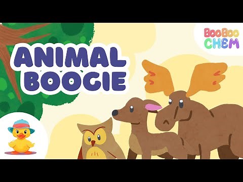 ANIMAL BOOGIE I ‪@booboochem‬ I Nursery Rhyme Music Video With Lyrics