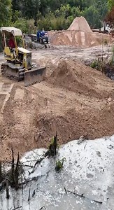 Amazing Steps to Clear Forest Land With Bulldozer Work Skills #dozer #bulldozer #reelsinstagram #fypreels | Arpunk