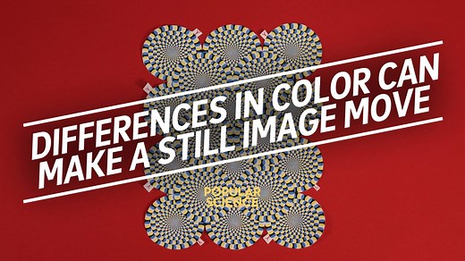 Optical illusions trick our brains into seeing things that aren't happening. The rotating snakes illusion, created by Akiyoshi Kitaoka, appears to be moving, but it's a still image—not a gif not a movie. What's going on our brains that makes these concentric circles look as if they're rotating? | Great Moments in Popular Science
