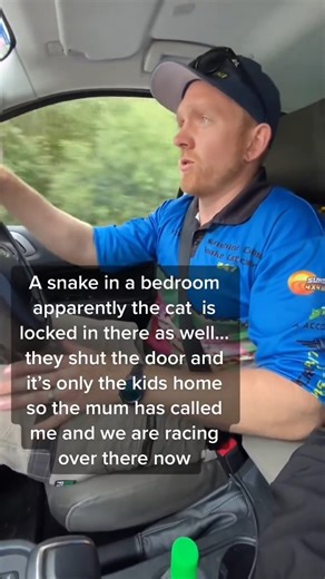 COMMON TREE SNAKE SNEAKS INTO BEDROOM! 🐍😲 You won’t believe this! A common tree snake made a surprise visit right inside a bedroom. Watch how the snake catcher handles this slithery guest safely. 🌿🛏️ #SnakeCatcher #Snake #TreeSnake #WildlifeEncounters #NatureSurprise #SnakeRescue #Reptiles #AnimalRescue #WildlifeSafety #FYP | Wildlife With Stuart Mckenzie