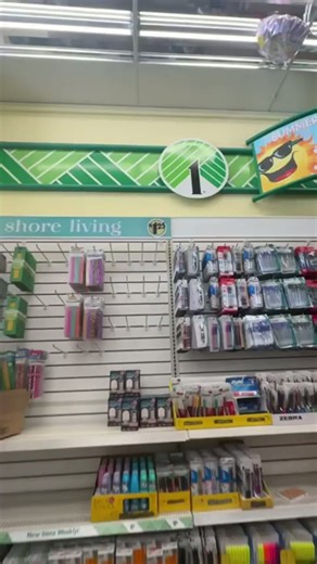 Dollar Tree sells this in 2024? 😱 (I had no idea!)