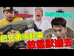 把好人阿亚绑起来放猛兽进去！看看他们的反应！好人S亡前的叫声！地狱式精神折磨！ ft.阿亚，好人，大蟒蛇，大蜥蜴 Steady Game 【等你来挑战】