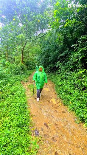 lucky tracking sentul (@luckytrackingsentul)’s videos with suara asli - April Liana