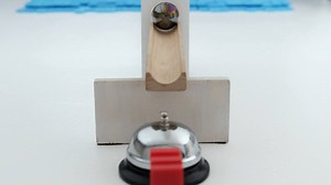 52K views · 11 reactions | When you play, Washington wins! See who...