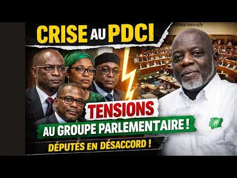 Côte d’Ivoire : grave crise au PDCI, le groupe parlementaire se fissure