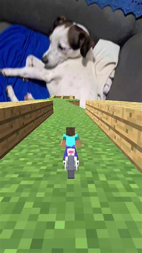 Top Games on TikTok You Need to Try