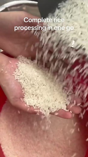 Efficient Complete Rice Processing in One Go