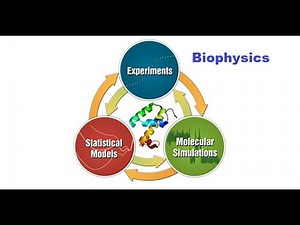 Types of Biophysical Techniques