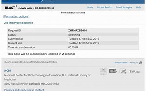 Protein sequence alignment
