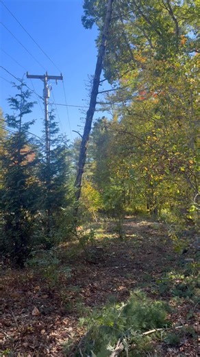 13 reactions | Time to drop the hazard here…… Brendan's Landscape & Tree Service, Inc. | Brendan Aiguier | Facebook