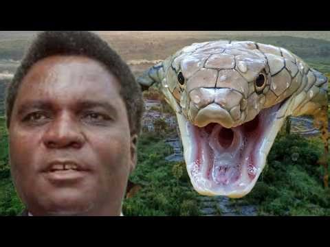 👉IKIYOKA Cya HABYARIMANA 😱 CYATEYE UBWOBA Abaperezida Bose!