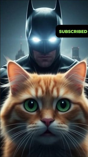 Cat Meets Batman 😳🐱🦇 | Epic Gotham Moment #shorts #shortvideo #batman