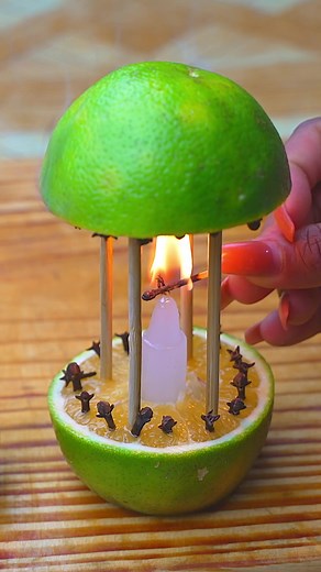 Ambientador Casero: Receta para Ahuyentar Moscas y Mosquitos