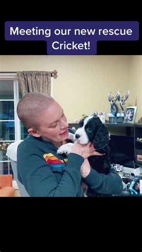 Meeting Our New Rescue Dog Cricket at Panda Paws Rescue
