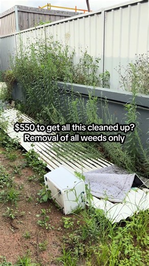 Weed Removal Cost: Is $550 Reasonable?