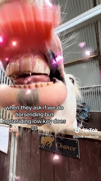 low key too many fails for one vid #relatable #silly #viralditiktok #help #slay @daisy @rosie.vile💀