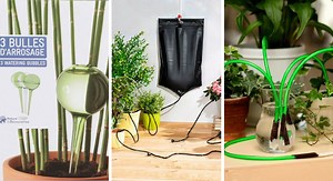 7 systèmes pour arroser vos plantes en votre absence