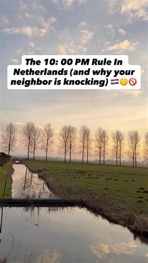 Reality Of Living in Netherlands 🇳🇱 #dutchculture #shockingfacts #reality #lifeinnetherlands