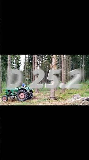 Deutz D 25.2 luftgekühlt 🚜👌💪#farming #wood #woodworking #chainsaw #tractor