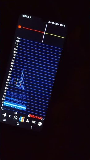 Real-time Bat Echolocation Spectrogram | Ultrasonic Call Analysis