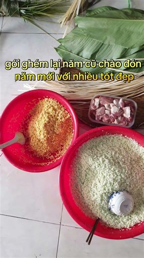 Bạn có thích Tết không