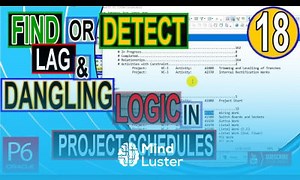 Mind Luster - Learn How to find or detect lag and dangling logic in Project Schedule of Primavera P6 by using Excel tips