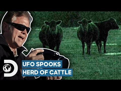 UFOs Caught Scaring Cattle And Causing Car Crashes By Rural River | Alien Highway