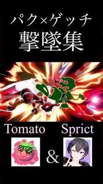 【コラボ】2大古参キャラ撃墜集！#スマブラ #パックマン #Mr.ゲーム＆ウォッチ #ゲッチ #ゲムヲ #魅せプレイ