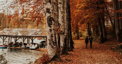 Autumn vibes: Essential tequila cocktails you need to try this season