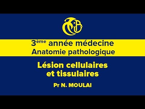 3rd year of medicine, Pathological anatomy, Cell and tissue lesions