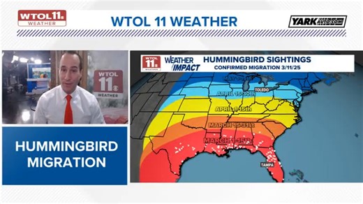 Ruby-throated hummingbird migration underway. Here's what to know