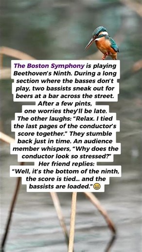 Beethoven😄#jokes #funny #NadiaEffect #humor #shorts #memes #laugh