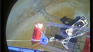 Cruise ship rescues and mishaps: 6 times emergency struck on Royal Caribbean, Carnival, more