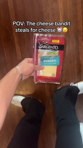 awesome_cheese_mouse on TikTok