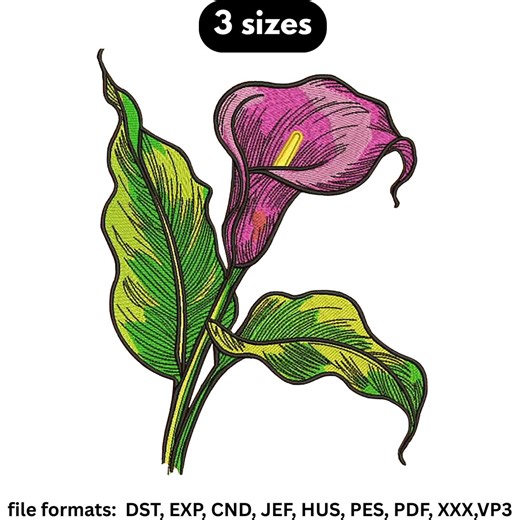 Colorful Dolphin Embroidery Design, Sea Animal Machine Embroidery, 3 Sizes, Instant Download. - Etsy