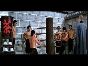 Shaolin Wooden Dummy Form Commentary HungGar, Mantis, BakMei, BaGua, XingYi, ChoyLiFut, Wing Chun