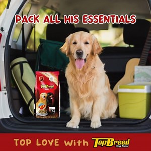 Going away with your Paw Pals? 🐶 Here are some easy tips to make sure your travel buddy will have a good time. 🚗 #TopLoveWithTopBreed | TopBreed