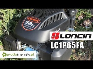 Silnik Loncin LC1P65FA