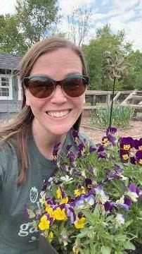 Garden Project! #growyourownfood #garden #gardening #homegardening #gardentips #harvest